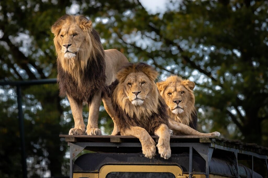 Kenya